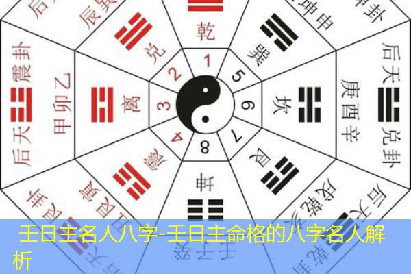  壬日主名人八字-壬日主命格的八字名人解析